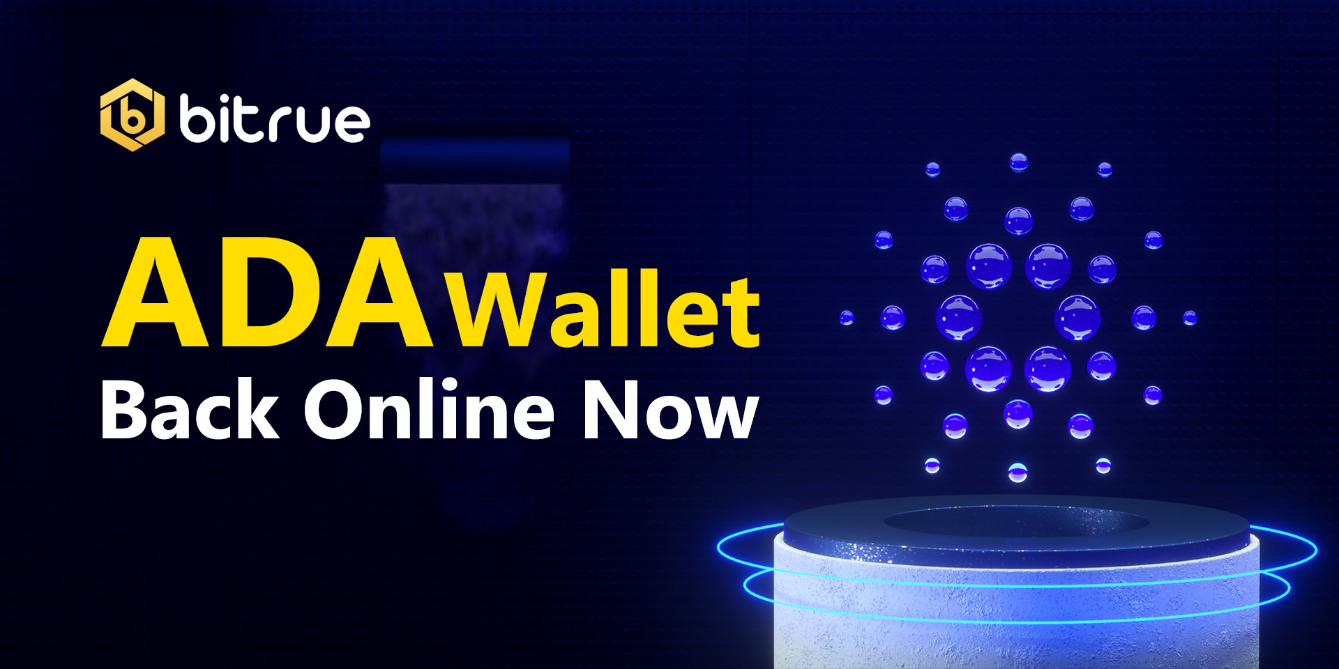 ada wallet atomic issue