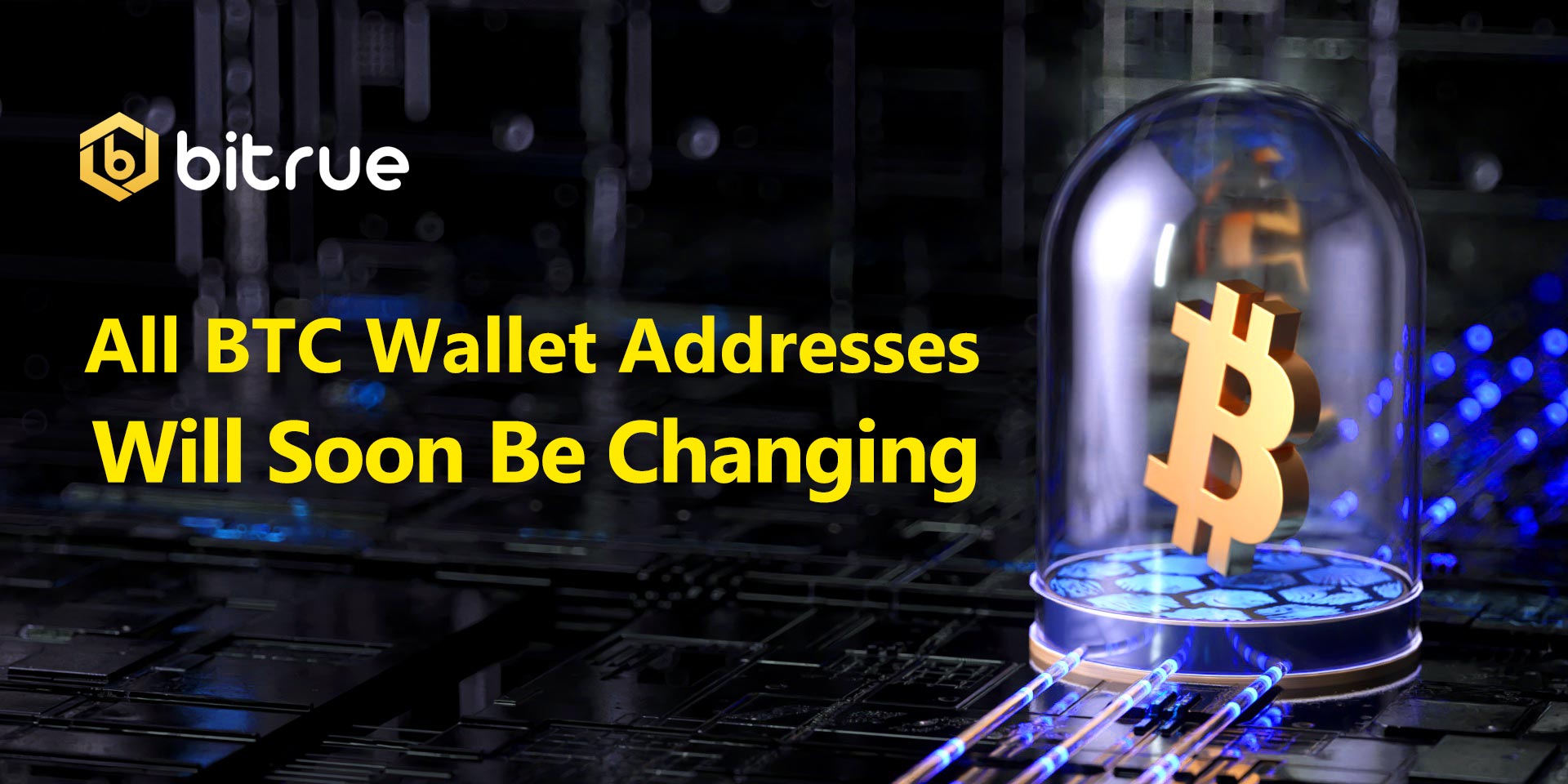 check if a btc address is valid