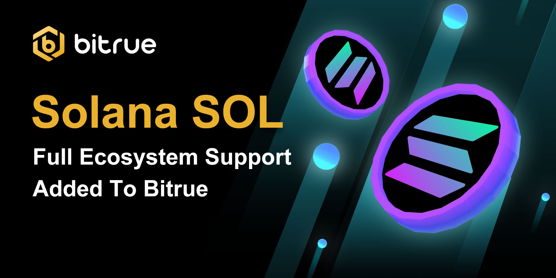 6.11_SOL_Ecosystem_Support.jpg