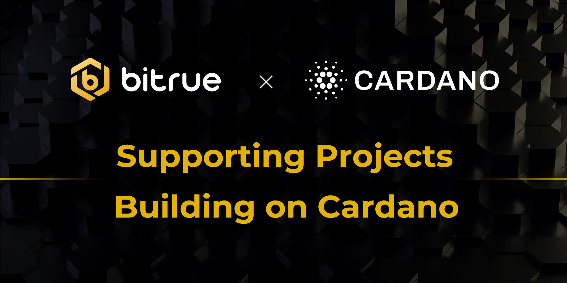 8.12_Bitrue_Supporting_Cardano.jpg