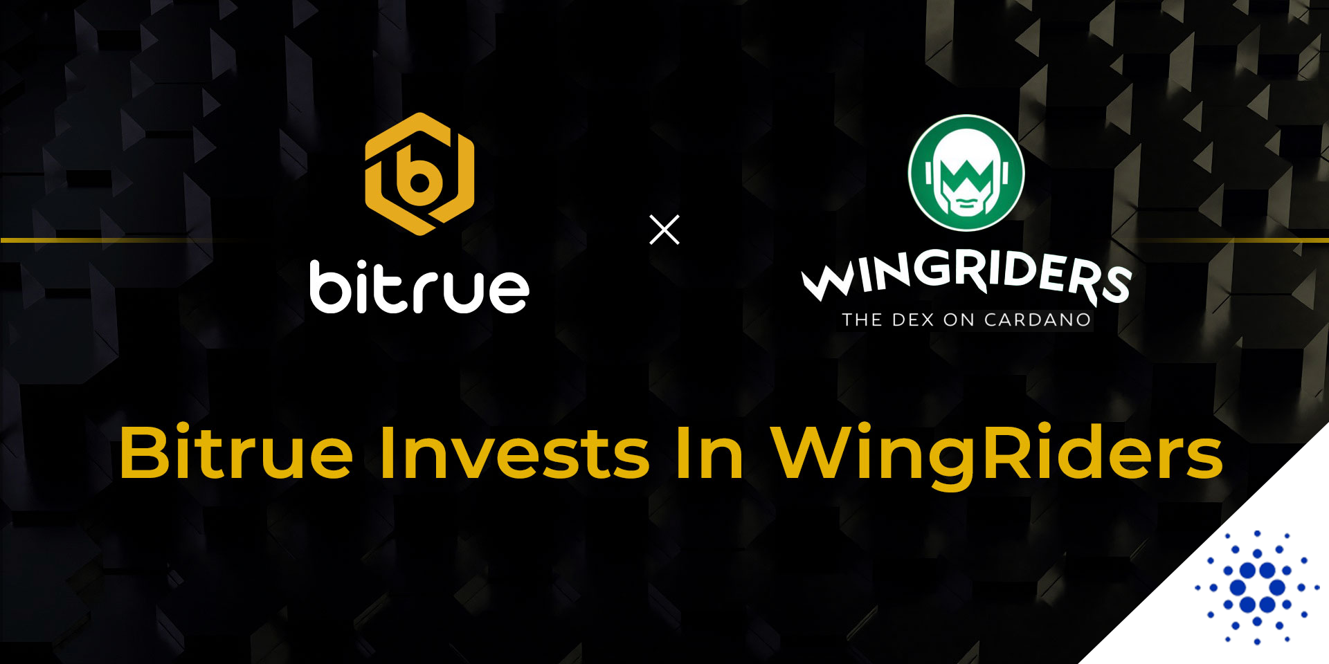 3.2_Bitrue_WingRiders_Cardano.png